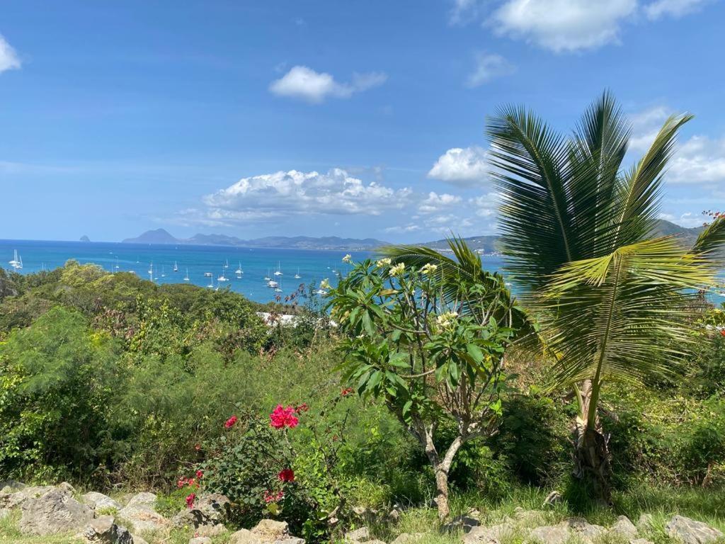 Superbe Appartement Vue Sur Mer Sainte-Anne Exterior photo